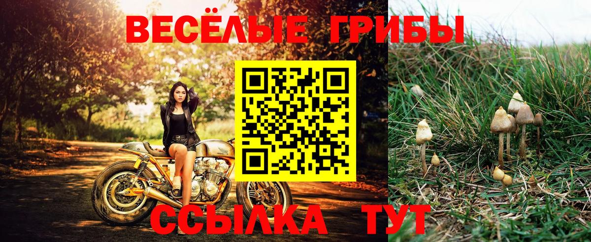 Псилоцибиновые грибы мухоморы Краснознаменск